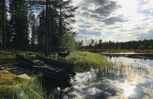 Metsä Kolo - Photo 54