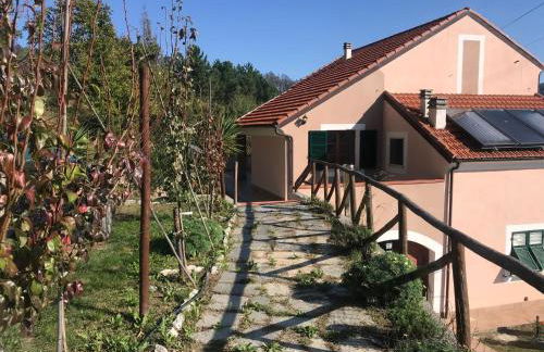 Sopra il Santuario - Foto 2