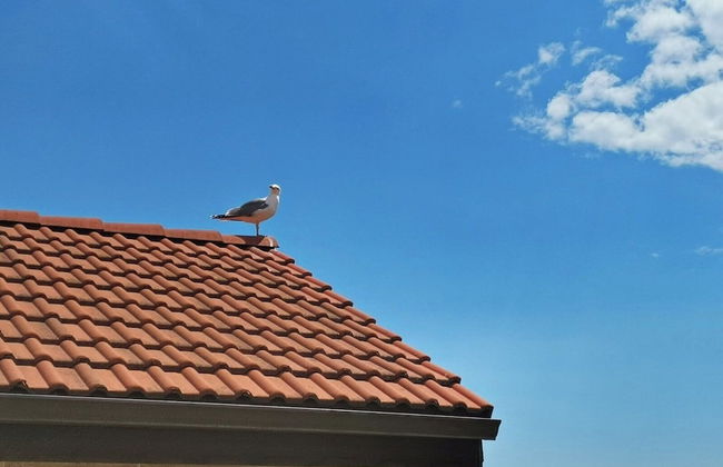 Twins Palace Apart Hotel - Foto 63