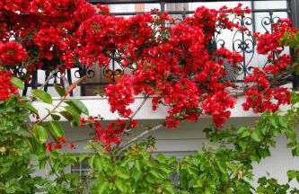 Chrys Marie Studios - Foto 14