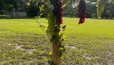 Luxury, Countryside, Tranquil Retreat at The French Château of Odessa - Foto 3