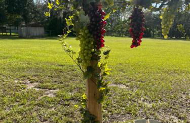 Luxury, Countryside, Tranquil Retreat at The French Château of Odessa - Foto 3