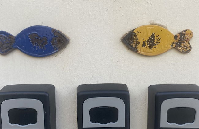 Sol Levante - Foto 117