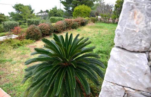 VILA AMALIA - Foto 7