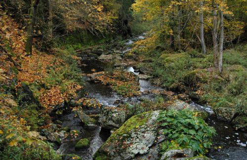 Chalet Alba - Foto 54