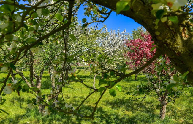 5 Star Holiday Home in Frederikshavn - Foto 31