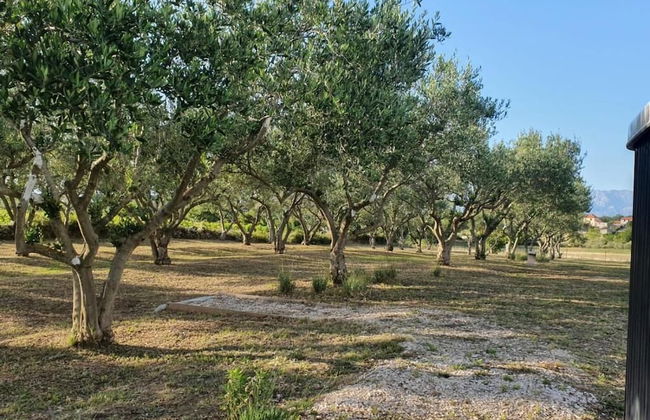 Holiday Home Olive Paradise - Photo 25