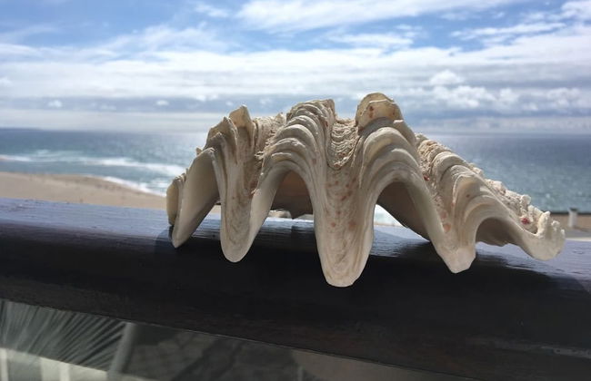 Salty House - Casa Salgada - Foto 14