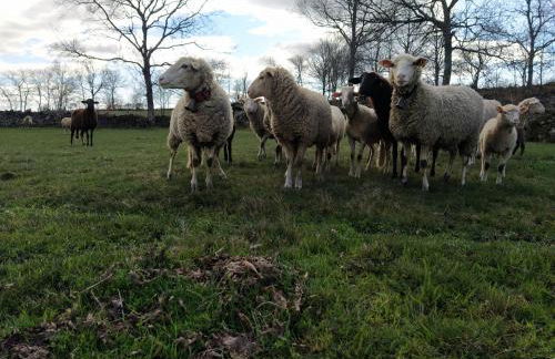 Aldeia de Moura Morta - Foto 8