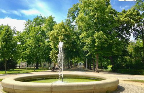 1-Raum-Wohnung mit Balkon, am Kurpark am Gradierwerk - Foto 20