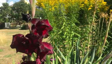 APARTMENT SONNE Reusa - Foto 3, Garden view