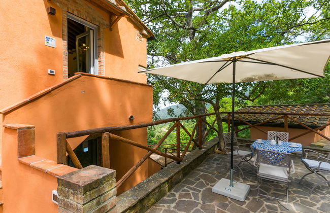 Fiordaliso - Foto 34