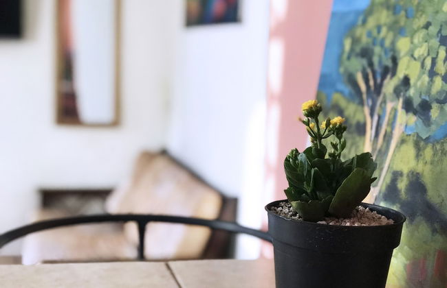 Apartamentos Managua - Foto 64