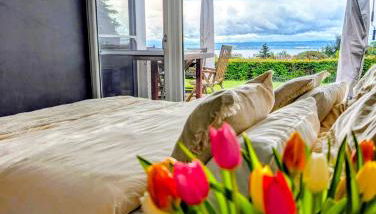 Bodensee - Palmen - Foto 3