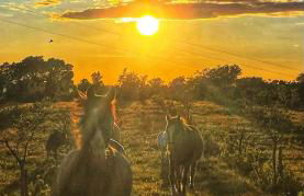 Azienda agricola Panorama - Foto 26