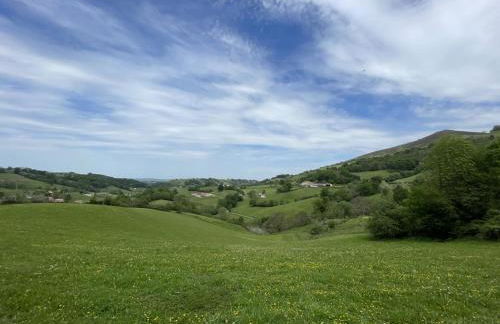 Belazkabieta - Foto 11