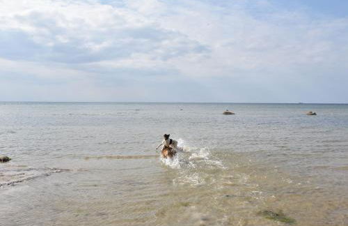 Bungalow in Klein Strtsmkendorf - Foto 44