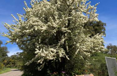 Agriturismo Is Conchisceddas - Foto 64