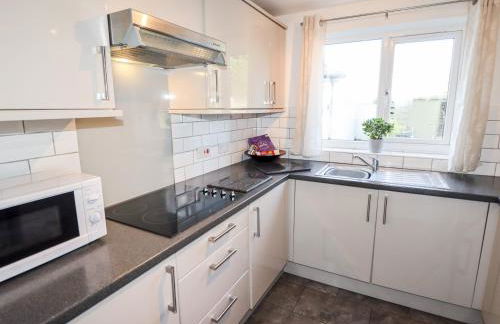 The Flat At Brwyn - Foto 8