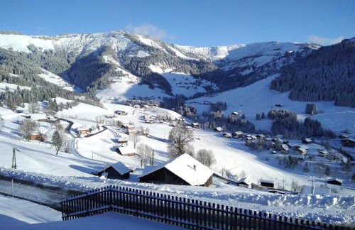 Demi Chalet Le LACHAT - Photo 33