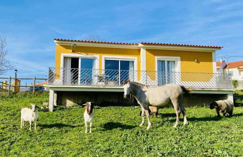 Casa De Campo Natureza - Foto 10