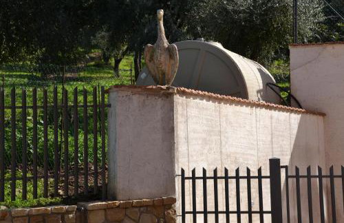 Villa Tiberio - Foto 62