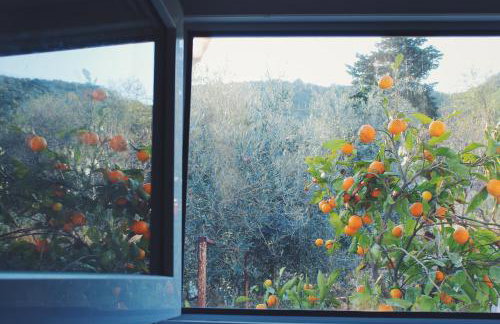 Apartment VistaMare Croatia - Photo 12