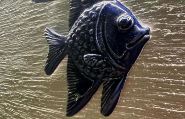 Boga & Vopa House - Foto 21