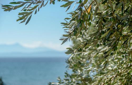 Theonis Villas - Foto 75