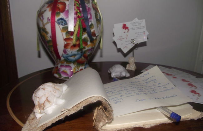 Villa Sabrina - Photo 42