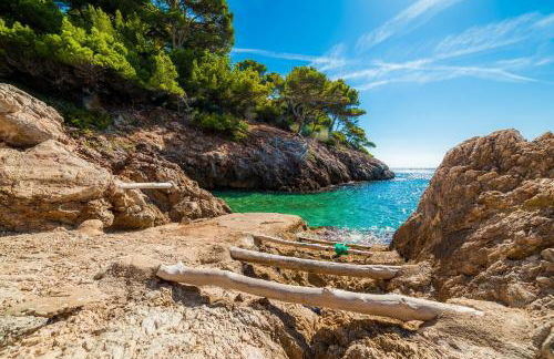 Sa Torre Apartaments - Foto 62