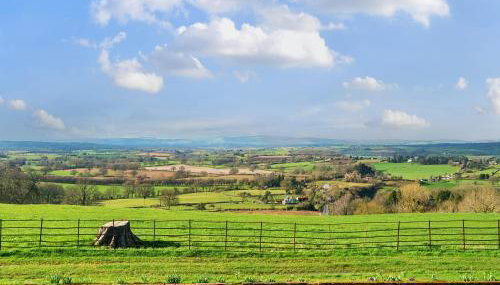 The Chestnuts - Foto 3