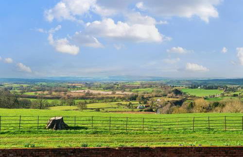 The Chestnuts - Foto 3