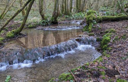 Hayloft studio in historic barn - Photo 23