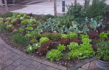 Ferienwohnung Hensel am Herzmannser See - Foto 18