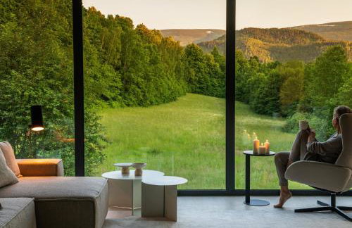 Górnolotnie koło Karpacza - Foto 2