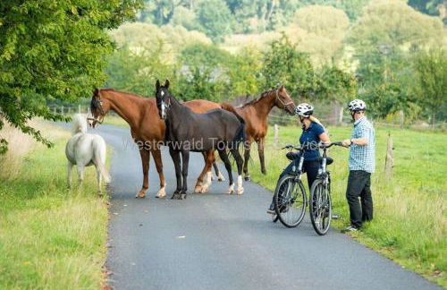 Casita - Sterneferienhaus mit Garten, Sauna und Wallbox - Foto 63