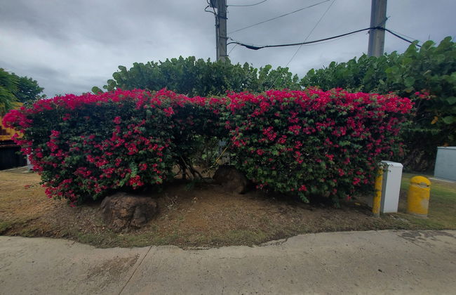 EliMar Bay View Apt - Photo 24