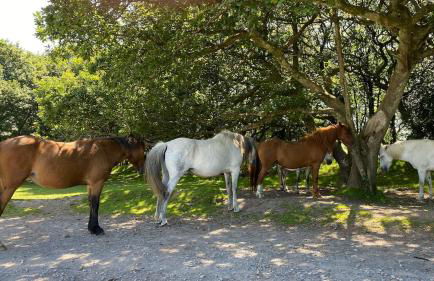 Gorgeous converted barn perfect for families - Foto 10