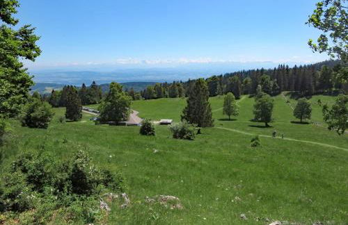 Cozy Apartment in Ruhmannsfelden With Swimming Pool - Foto 32