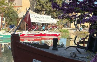 Village villa, private pool, canal du midi - Foto 42