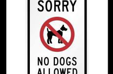 Pantyronen tourer holidays - Photo 45