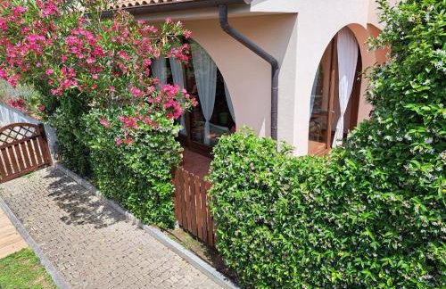 Casa Eucalipto - Marina di campo, Elba - Photo 33