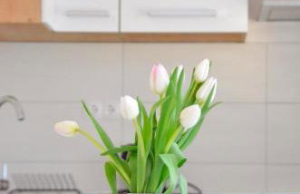 Apartman Mare Blace - Photo 6