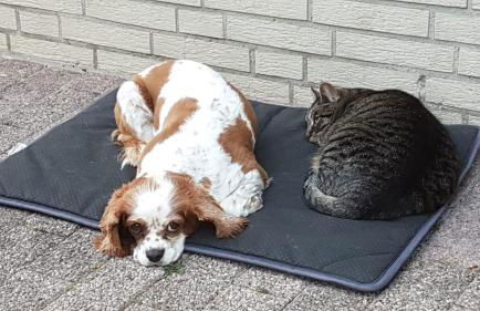 Eurode grenzenlos - Drei Länder in greifbarer Nähe - Foto 46