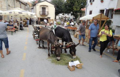 Bungalow Porec (4400-6) - Foto 34