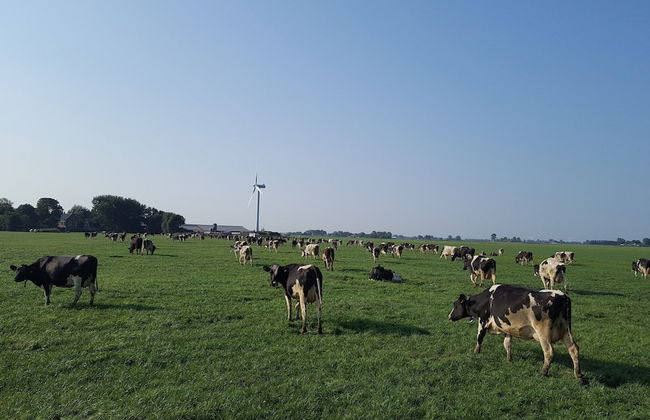 Idyllic Rural Home With Bikes - Foto 30
