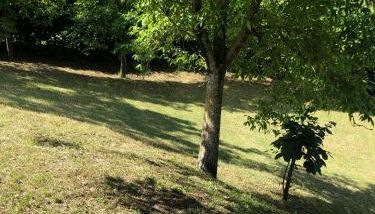 Capannina Vesale - Foto 4