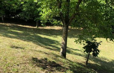 Capannina Vesale - Photo 4