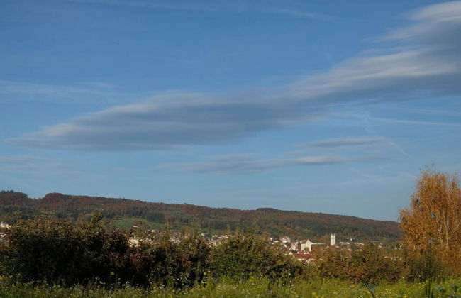 Holiday Apartment Feel-good Time - Photo 28